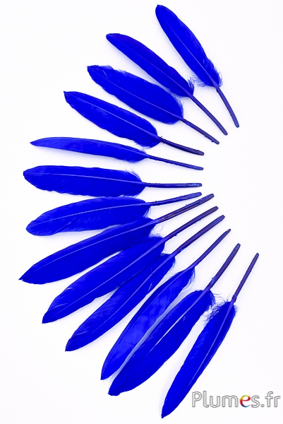 Oie Lame - 10-15 cm - bleu